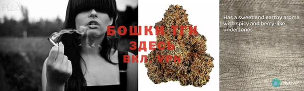 прущие крисы Краснотурьинск