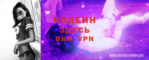 2c-b Краснослободск